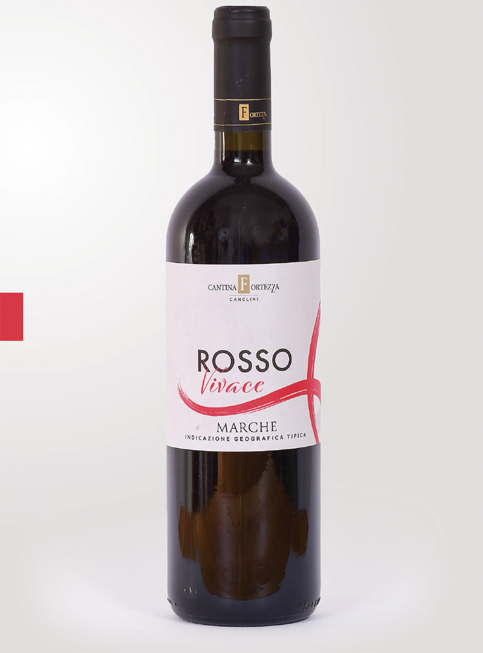 Bottiglia di Rosso Vivace Marche IGT Cantina Fortezza Marche