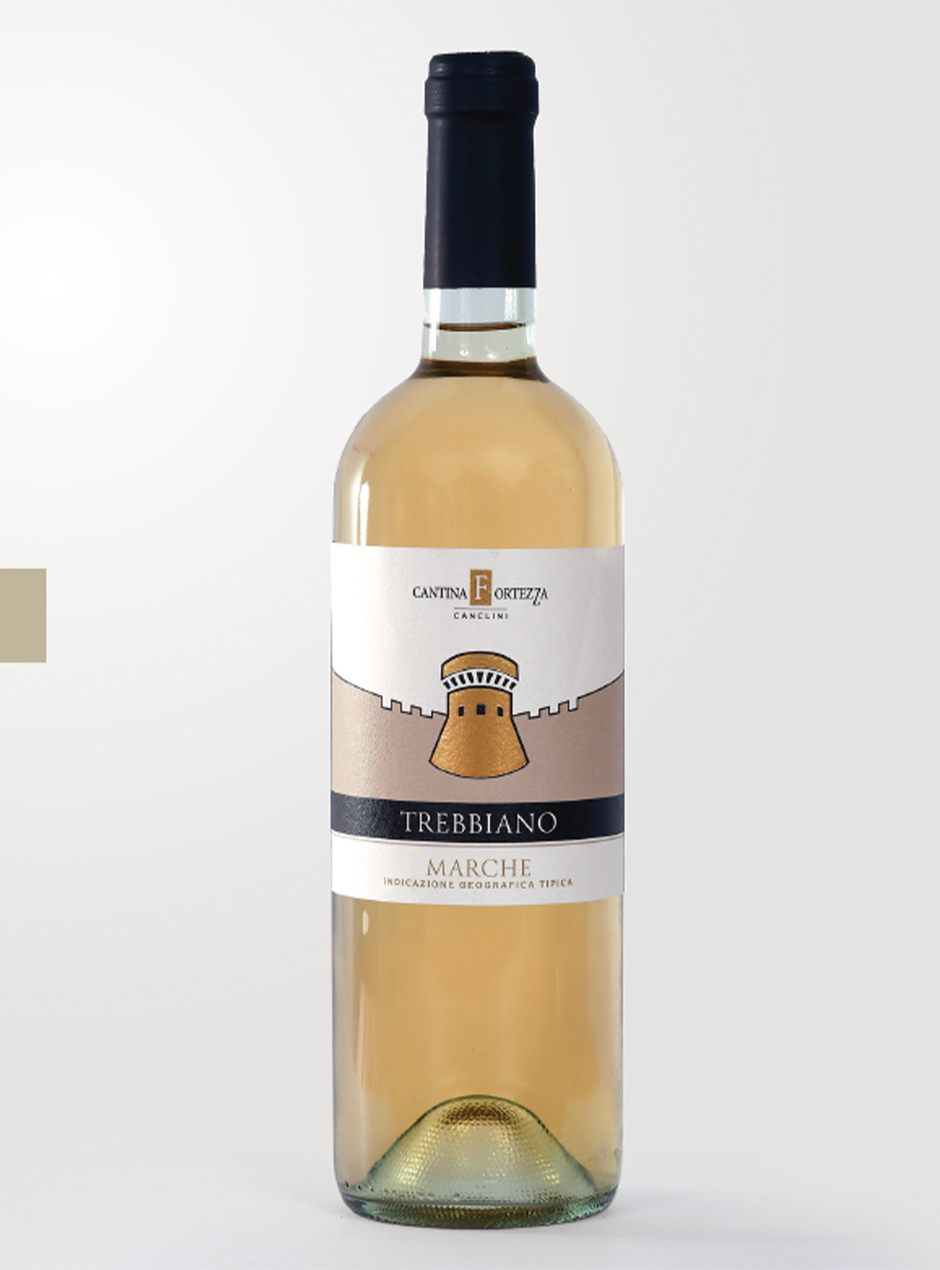 Bottiglia di Trebbiano Marche IGT Cantina Fortezza Marche